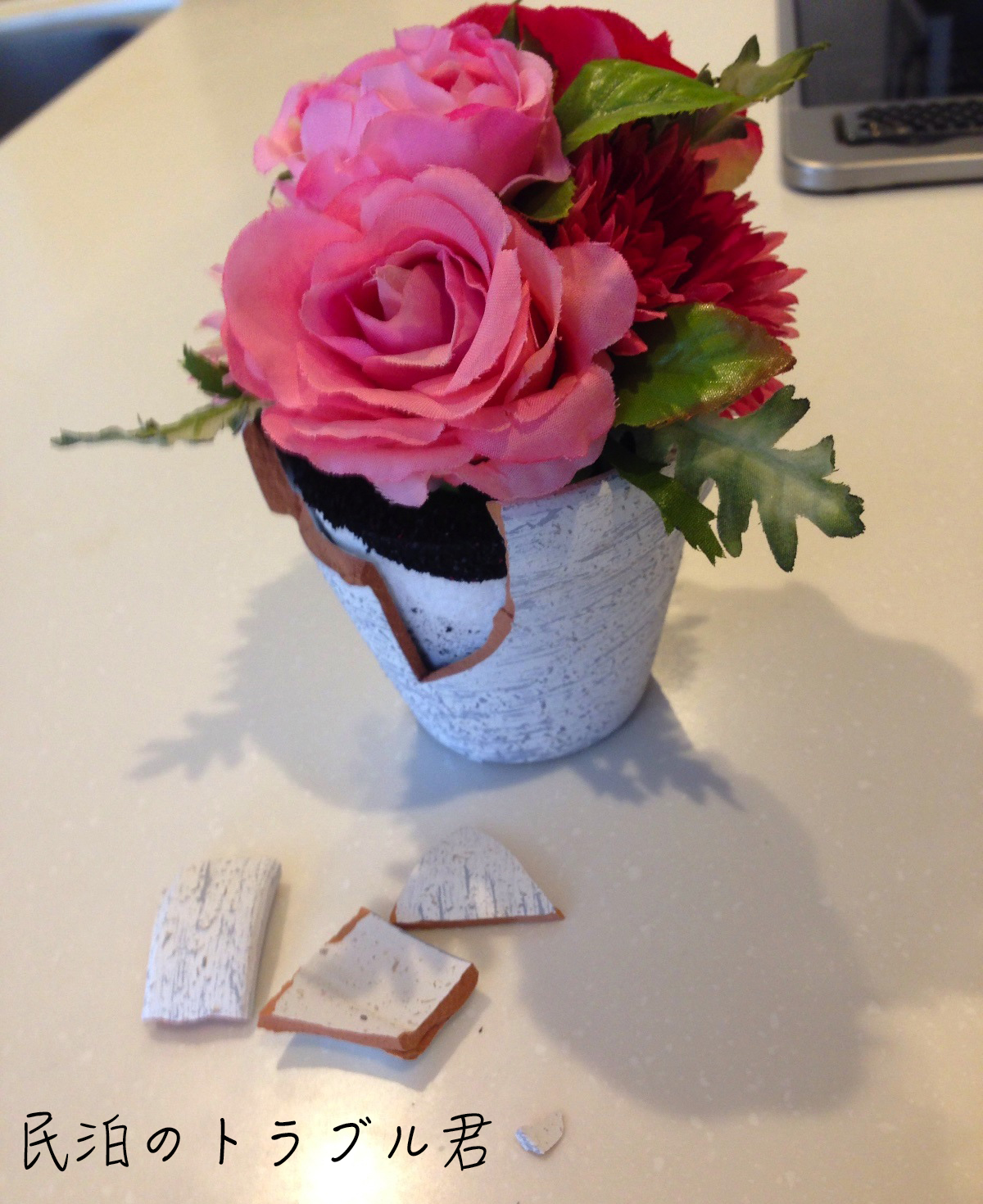 【破損】花瓶落下でも満開の花たち。