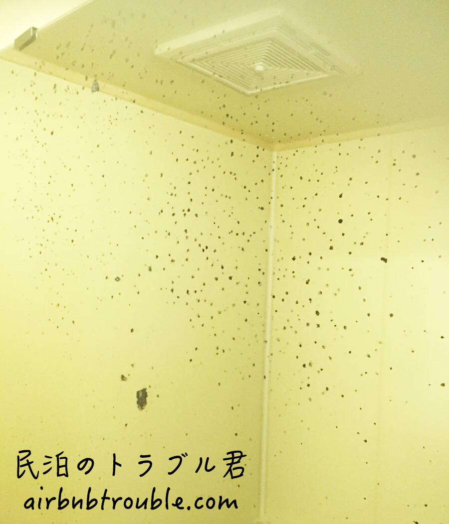 #65【汚れ】浴室の鏡に謎の黒の斑点が。